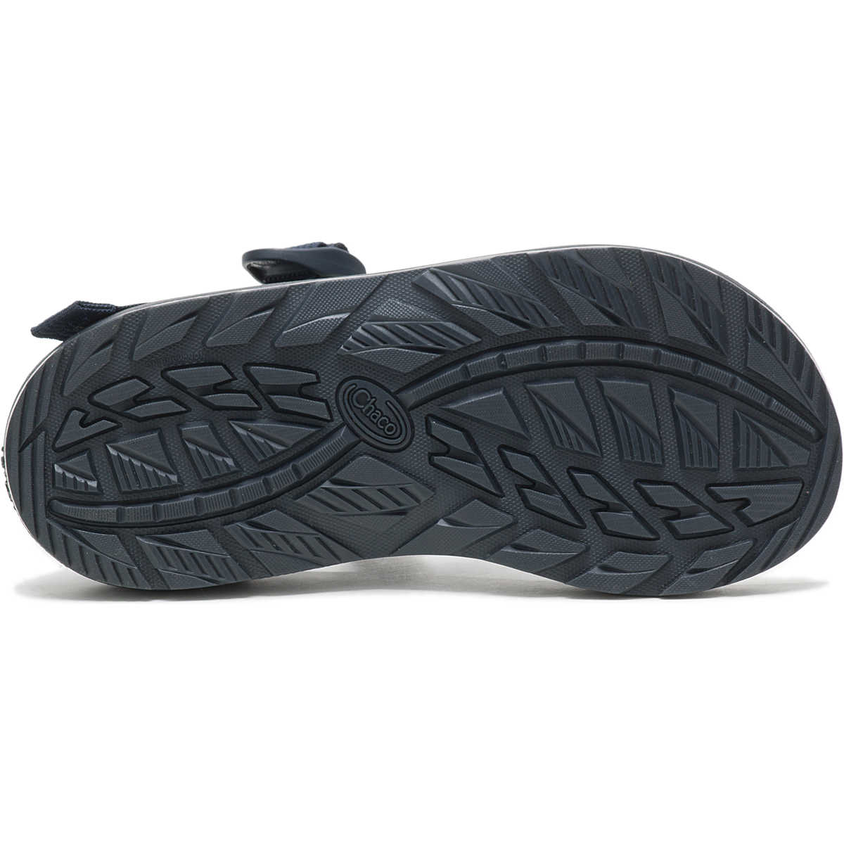Men's Chaco Z/Cloud Sandal